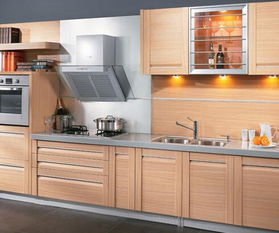 爱格派橱柜 品质生活空间的匠心之选