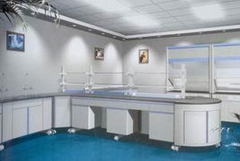 潍坊晶胜家具厂 实验室橱柜、厨房橱柜价格及整体厨房定制服务